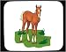 Decorated Mouse Pad with equestrian, horse, stallion