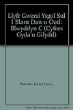 Llyfr gwersi ysgol Sul i blant dan 11 oed : Blwyddyn C : llyfrau gwaith i gyd-fynd â'r gwerslyfr: Sbloets (llyfr gweithgarwch i blant 5-7 oed) Gôl (llyfr gweithgarwch i blant 7-11 oed)