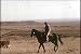 Classic Texas History Films DVD: 1960s State Of Texas Heritage & Culture Films