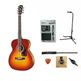 ���[���X F-12-II/CS�Z�b�g �A�R�[�X�e�B�b�N�M�^�[���S�҃Z�b�g