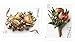 USPS Forever Stamp: Celebration Corsage and Boutonniere Combination Package (1 Sheet of each)