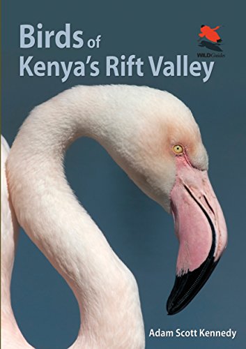 Birds of Kenya's Rift Valley (WILDGuides)