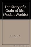 The story of a grain of rice