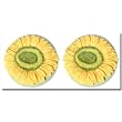 Sunflower Escape Drawer Pulls or Knobs Set of 2