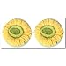Sunflower Escape Drawer Pulls or Knobs Set of 2