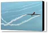 silent flight Canvas Print / Canvas Art - Artist Angel Tarantella