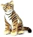 Hansa Tiger Cub