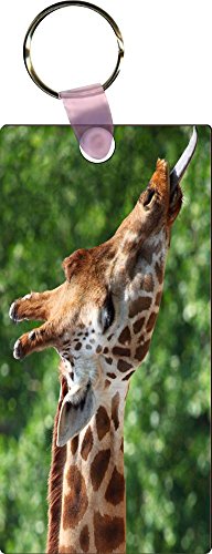 Rikki KnightTM Giraffe tongue Rectangle Shape Key Chains - Luggage Identifier Tags (Set of 4)