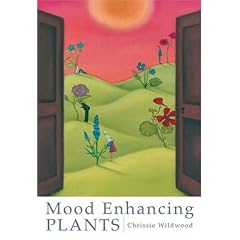Mood Enhancing Plants