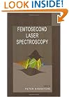 Femtosecond Laser Spectroscopy