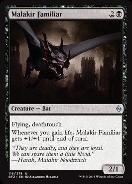 Magic: the Gathering - Malakir Familiar (116/274) - Battle for Zendikar