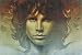 Spirit of Jim Morrison Doors NEW 24x36 Poster print