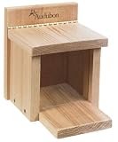 Squirrel Munch Box