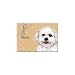 Bichon Frise (puppy cut / short hair cut) Boxed 8 Notecards with Envelopes 3.5''x5''
