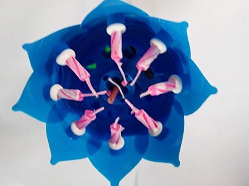ZYBF Amazing Musical Fountain Sparkling Birthday Candle Flower Special For Your Birthday,Blue,Pack of 3