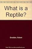 What is a reptile?