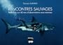 Rencontres sauvages : R�flexion sur 40 ans d'observations sous-marines