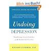 Undoing Depression: What Therapy Doesn't Teach You and Medication Can't Give You