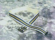 Gait Belt with Buckle-48 (To 44 Waist) - 11248