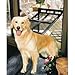 Pet Door Screen Small (Black) (10H x 8W opening)