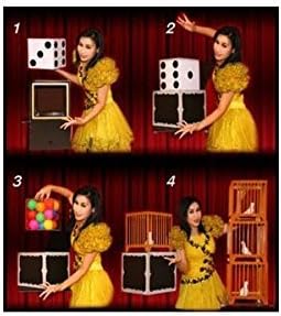 Dice to Crystal Cube to 4 Cages by Tora Magic
