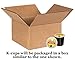 High Octane Variety K-cup Sampler Pack for Keurig 2.0 - Café Bustelo Espresso, Revv, Jet Fuel & Black Tiger - 20 Count/4 Varieties
