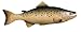 Trade Sign Salmon