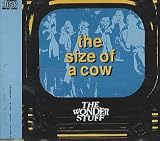The Size of a Cow