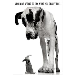 1art1 48419 Hunde - Never Be Afraid To Say Poster (91 x 61 cm)