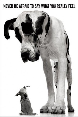 Imagen principal de 1art1 48419