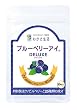 わかさ生活 ブルーベリーアイ デラックス 90粒 （約3ヶ月分 ）