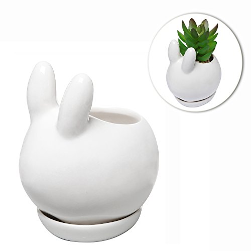 Decorative Bunny Rabbit Design White Mini Ceramic Plant Flower Pot Succulent Planter w/ Saucer - MyGiftÂ®