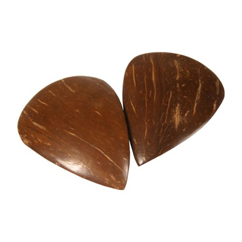 Sarod Pick Professional 2 Pack Sardar