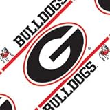 NCAA Georgia Bulldogs Wall Border