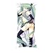 VOCALOID Hatsune Miku 100 x 40 cm Dakimakura Kissen + Bezug Jap. Umarmungskissen Hentai