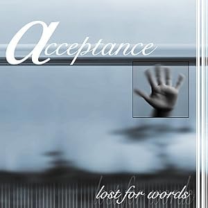 41gDZzmhscL. SL500 AA300 Acceptance Lost for Words