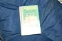 The Only Game (Magna Popular Series (Large Print))