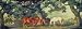 Horses Green Pastures and Trees Border by York