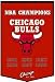 Chicago Bulls 24x36 Wool Dynasty Banner