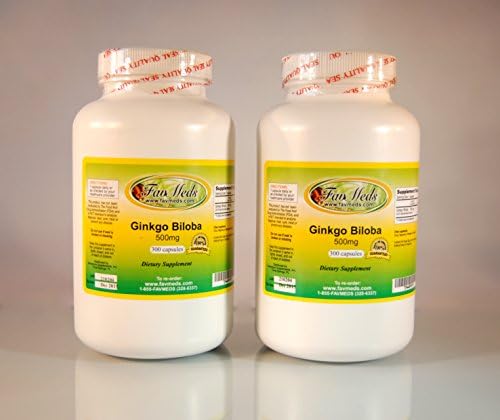 Ginkgo Biloba 500mg, Memory, Blood Circulation, Made in USA - Various Sizes (2 bottles - 600 [2x300] capsules)