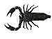 Rubber Black Scorpion Novelty Prop