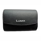 Panasonic DMW-PSS13KK Leather Case for FS Series