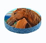Horse Profile Unique Kitchen Sponge