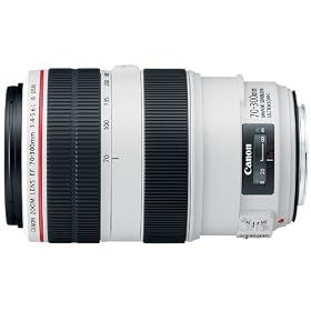 Canon EF 70-300 f/4-5.6L IS USM Lens