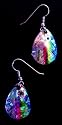 Rainbow Shinner Fish Hook Earrings