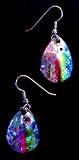 Rainbow Shinner Fish Hook Earrings