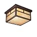 Kichler Lighting 10957CV Alameda 13-Watt 2-Light Fluorescent Energy Star Outdoor Ceiling Flush Mount, Canyon View with Honey Opalescent Glass