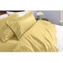 Solid Gold 300 Thread Count Olympic Queen size Sheet Set 100 % Egyptian Cotton 4pc Bed Sheet set (Deep Pocket) By sheetsnthings