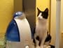 Crane Adorable 1 Gallon Cool Mist Humidifier