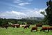 Wallmonkeys Peel and Stick Wall Decals - Country Scene - Removable Graphic